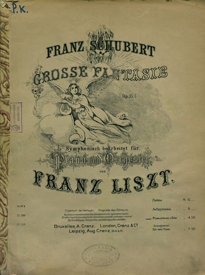 Grosse Fantasie, op. 15, fur Piano und Orchester v. F. Liszt simphonisch bearb. Pianostimme allein - ноты